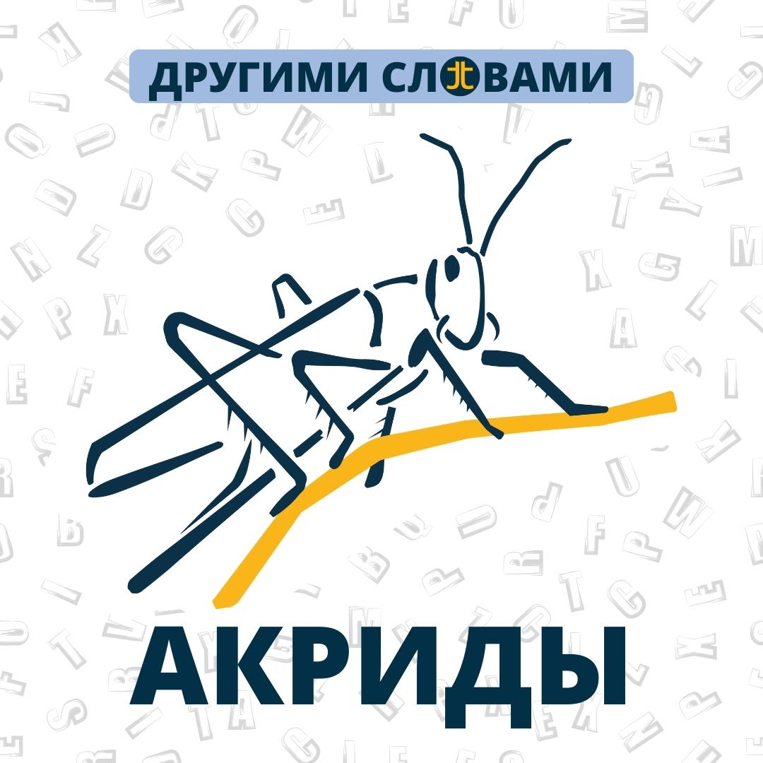 ДРУГИМИ СЛОВАМИ. АКРИДЫ
